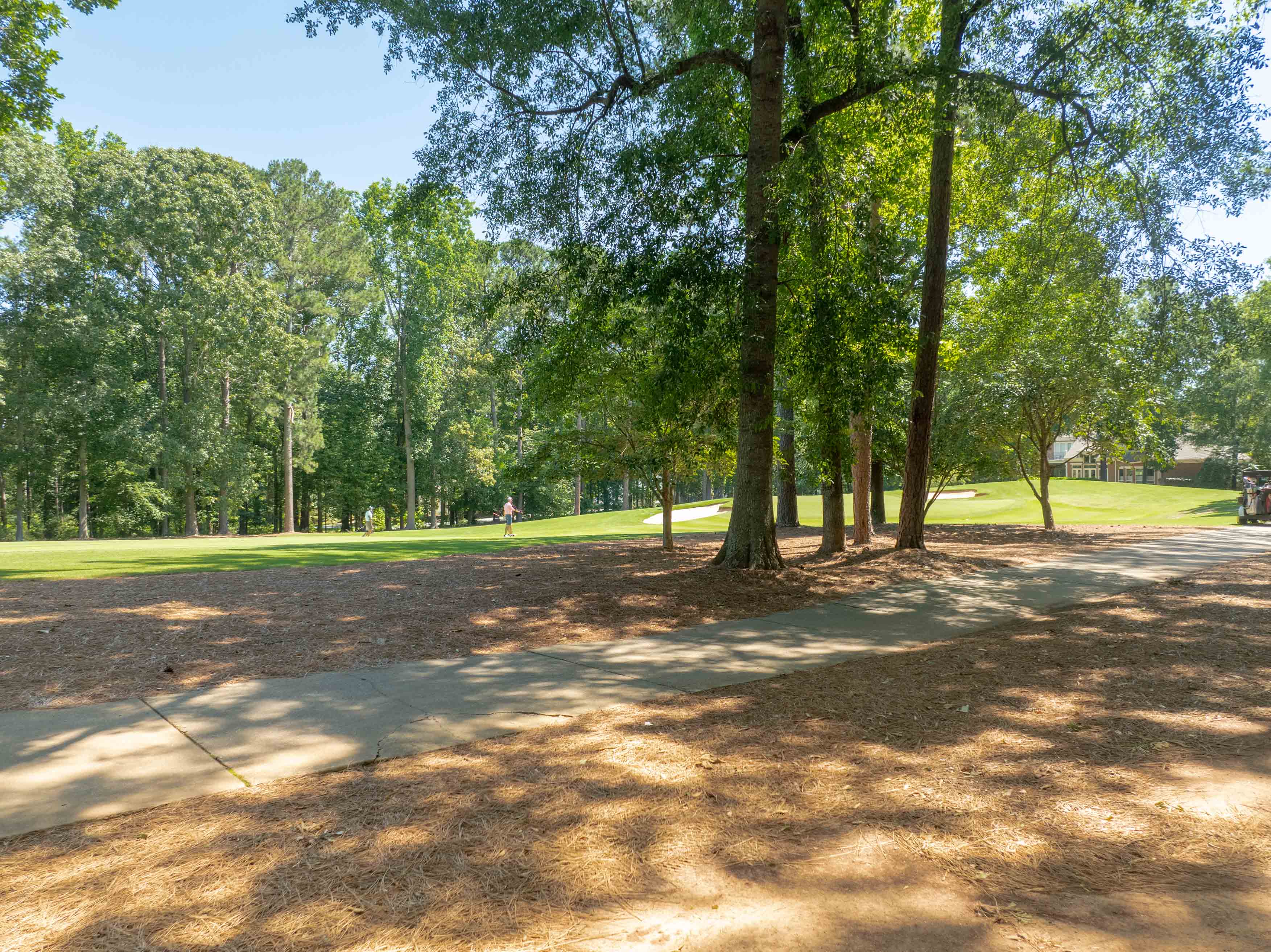 381 Reynolds Drive image 6